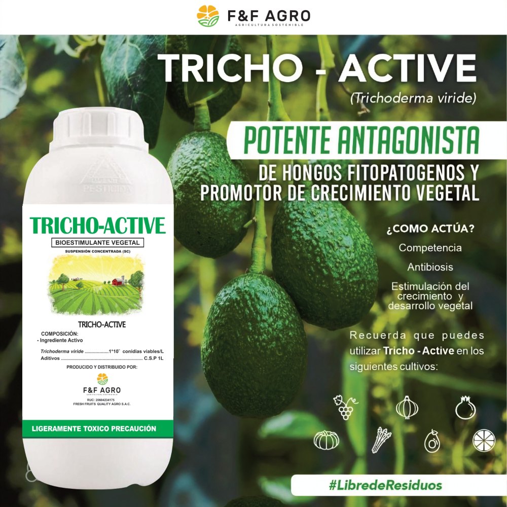 TRICHO - ACTIVE es un bioestimulante compuesto principalmente por Trichoderma viride, el cual actúa por competencia y antagonismo; es un excelente preventivo de hongos fitopatógenos.
