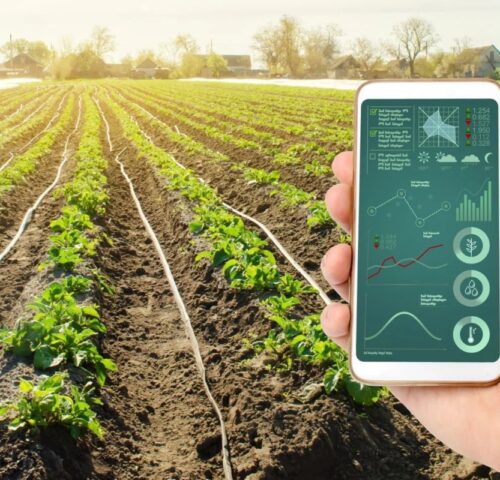 Agricultura de Precisión en el Perú como Estrategia Inteligente