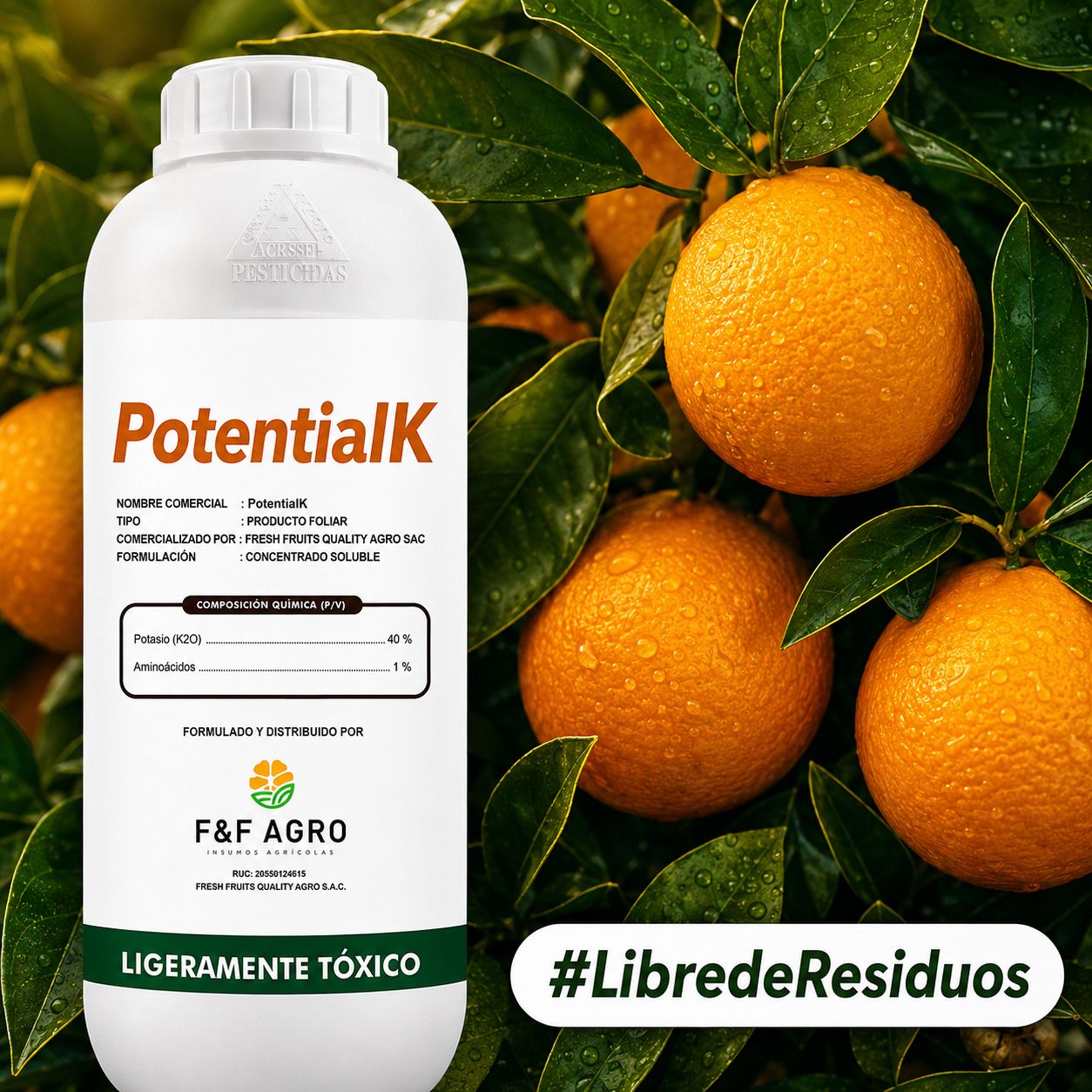 FERTILIZANTE FOLIAR Es un producto foliar a base de potasio quelatado con ácidos carboxílicos y aminoácidos, formando complejos con algunos metales, ayudando a mejorar la disponibilidad, absorción y eficiencia de los nutrientes esenciales.   ¿CÓMO ACTÚA? Actúa en los procesos de formación y translocación de los carbohidratos a los órganos frutales. Juega un papel muy importante en el transporte de agua y nutrientes a través del xilema para luego almacenarse en semillas, vainas, tubérculos.
