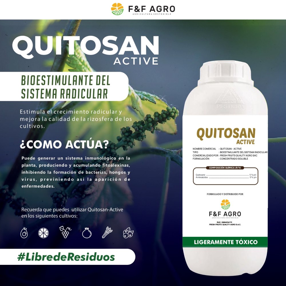 BIOESTIMULANTE DEL SISTEMA RADICULAR Estimula el crecimiento radicular y mejora la calidad de la rizosfera de los cultivos.   ¿CÓMO ACTÚA? Puede generar un sistema inmunológico en la planta, produciendo y acumulando fitoalexinas, inhibiendo la formación de bacterias, hongos y virus, previniendo así la aparición de enfermedades.