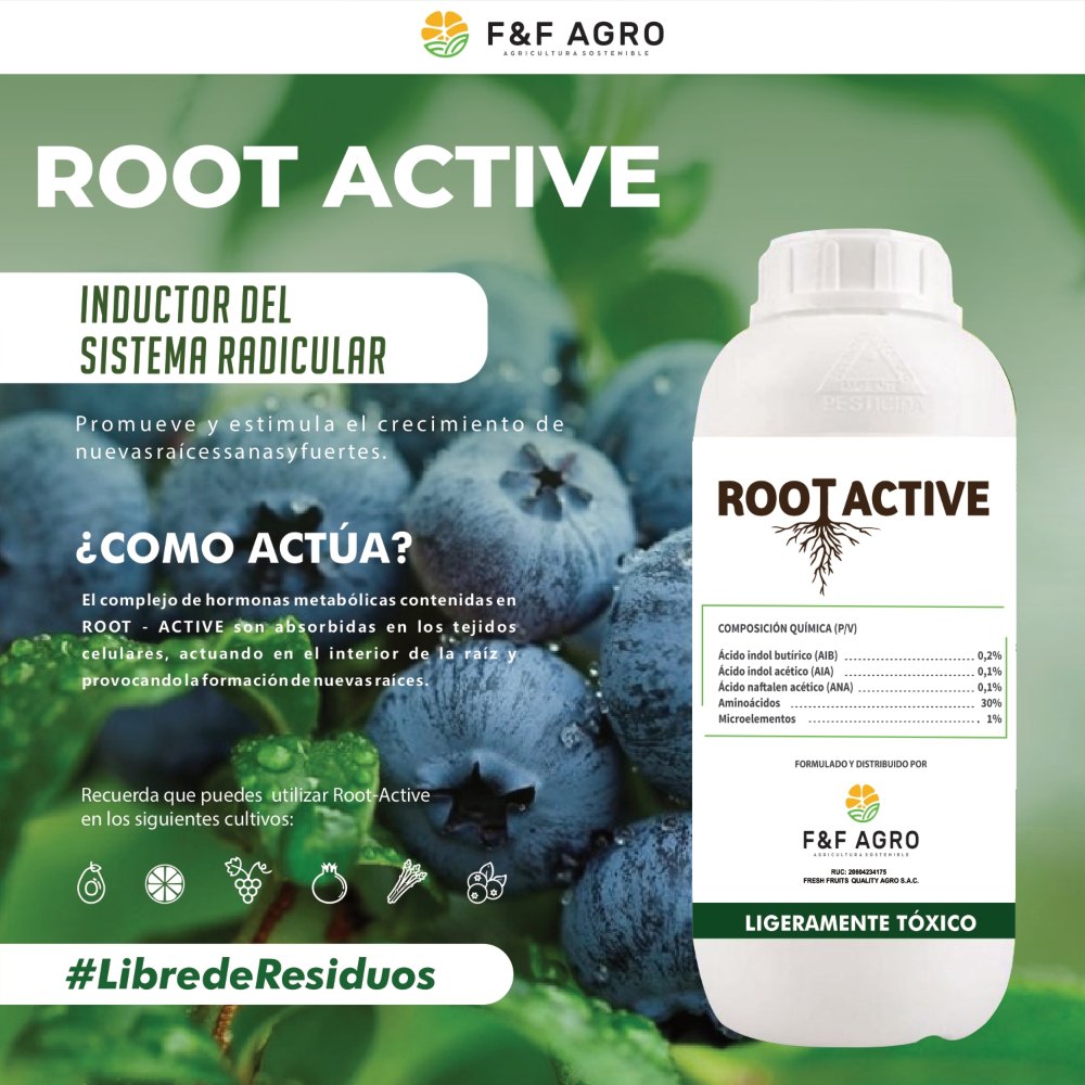 Root Active